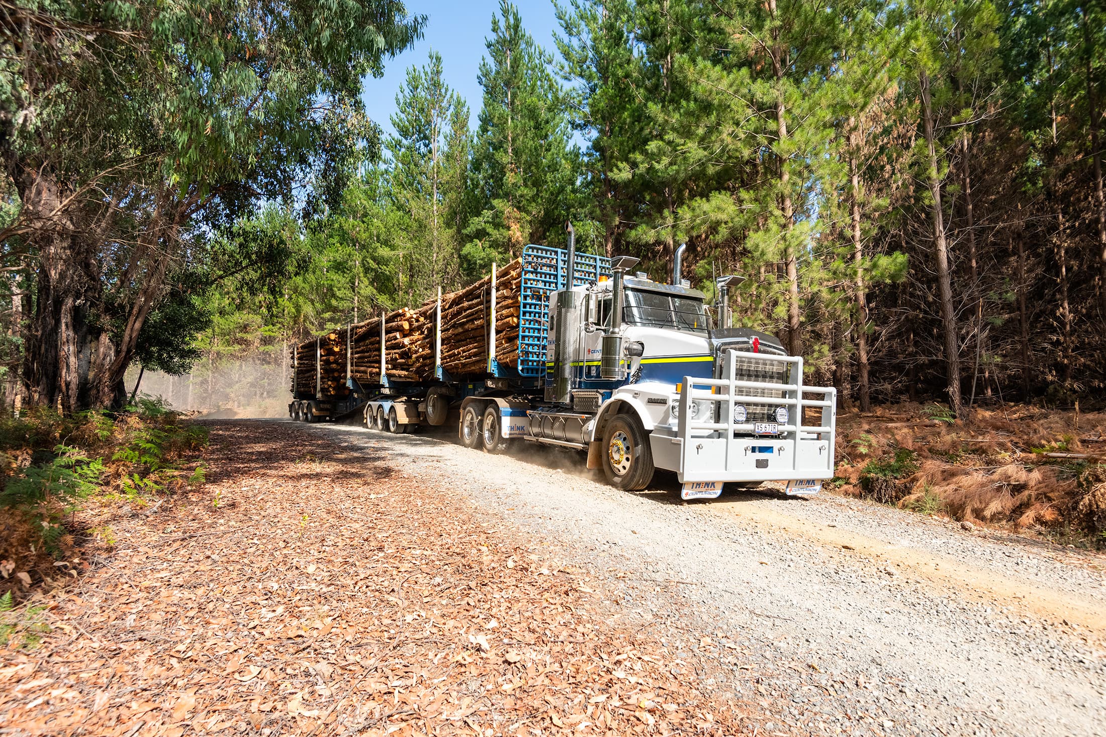 Professional trucking email marketing showing fleet management and customer portal features